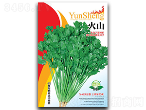 ��ɽ��˷N��-��ʢ