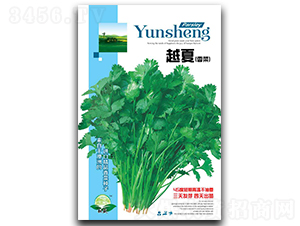 Խ����˷N��-��ʢ