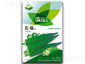 �帣-����N��-��ʢ