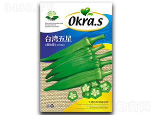 �_(t��i)������-����N��-��ʢ