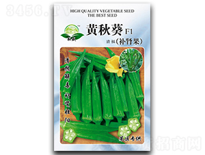 �帣-����N��-��ʢ