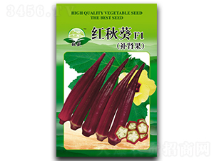 �t���-����N��-��ʢ