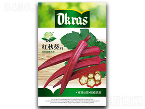 �t���F1-����N��-��ʢ