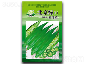 �����GF1-����N��-��ʢ