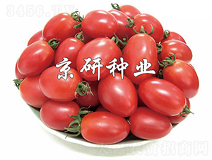 ����2̖(h��o)-���ѷN��-���зN�I(y��)