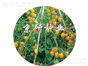 �S�L2̖(h��o)-���ѷN��-���зN�I(y��)