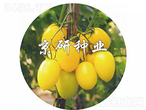 �S��-���ѷN��-���зN�I(y��)