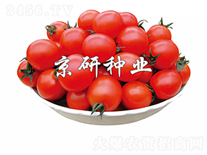 ����8̖(h��o)-���ѷN��-���зN�I(y��)