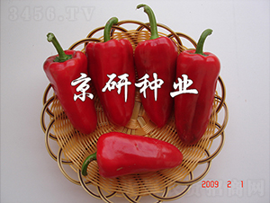 ����111-�����N��-���зN�I(y��)