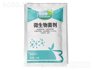 ΢�������-�漚(x��)�p�x-�ݶ��