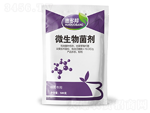 ��(x��)������΢�������-�ݶ��