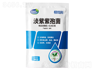 �����x�������߾�-�ݶ��