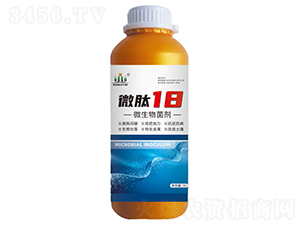 ΢��18΢�������-��̩����