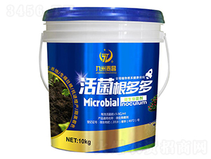 ��������-��̩����