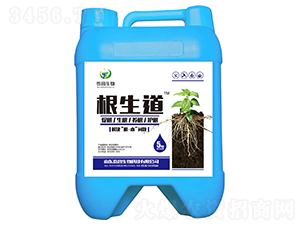 ������-��̩����