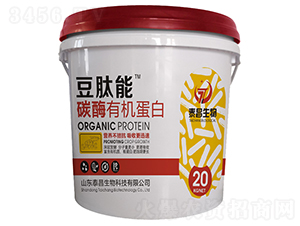 ̼ø�ЙC(j��)����-������-��̩����