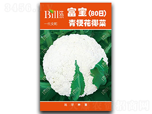 ����80��-��Ҭ�˷N��-�Ƞ�