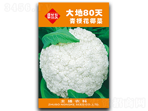 ���80��-��Ҭ�˷N��-�Ƞ�