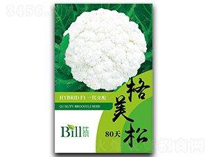 ������80��-��Ҭ�˷N��-�Ƞ�