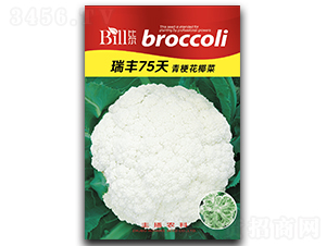 ���S75��-��Ҭ�˷N��-�Ƞ�