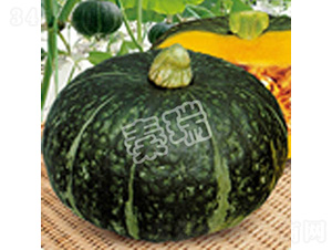 �G���Ϲ�-�ϹϷN��-����