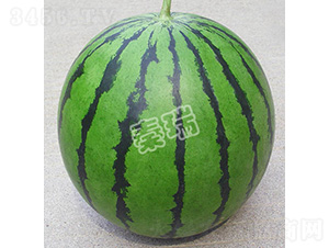 ��Ʒ����-���ϷN��-����