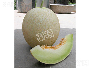 ��Ʒ�y����-��ϷN��-����