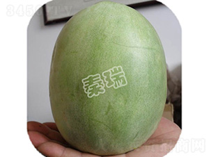 �����̖-��ϷN��-����