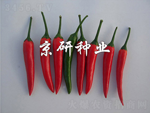 ����112-�����N��-���зN�I(y��)