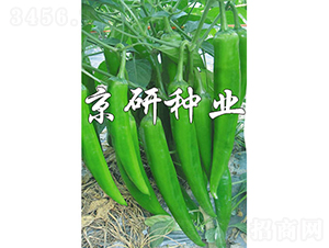 ����326-�����N��-���зN�I(y��)