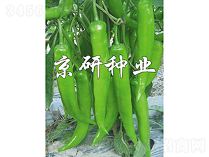 ����913-�����N��-���зN�I(y��)