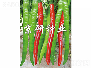 ����4̖(h��o)-�����N��-���зN�I(y��)