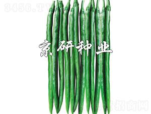 ����1629-�����N��-���зN�I(y��)