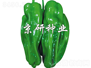 ����2̖(h��o)-�����N��-���зN�I(y��)