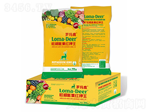 ��������t���(��)-�_��¹-���L