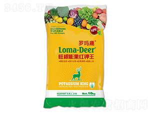 ��������t���-�_��¹-���L