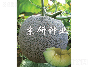 ����5̖-��ϷN��-���зN�I(y��)