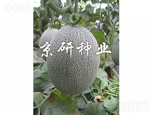 ������18-��ϷN��-���зN�I(y��)