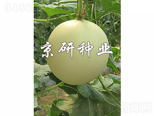 �����1̖-��ϷN��-���зN�I(y��)