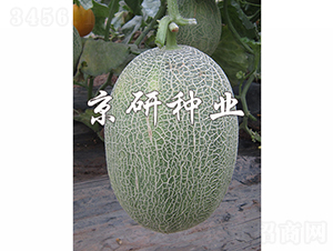 ������28-��ϷN��-���зN�I(y��)