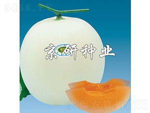 ����2̖-��ϷN��-���зN�I(y��)