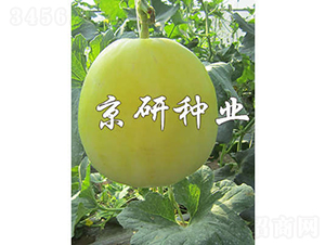 ����26-��ϷN��-���зN�I(y��)