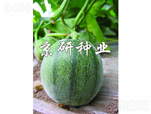 ����ī��-��ϷN��-���зN�I(y��)