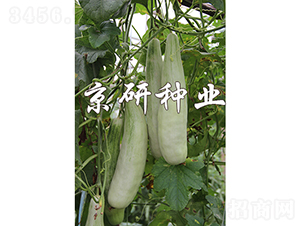 ���������-��ϷN��-���зN�I(y��)