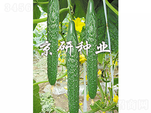 ����108-�S�ϷN��-���зN�I(y��)