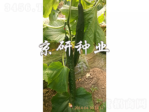 ���S16-�S�ϷN��-���зN�I(y��)