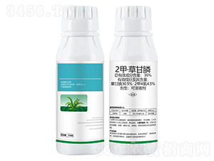 36%2�ס��ݸ��-�Z�ܼ�