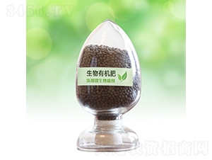 �����ЙC(j��)��-��ľ˹��