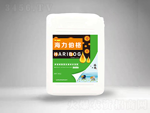 �������񣨰׷�Ͱ��-���r(n��ng)����