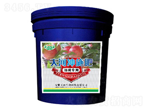 ���Ҍ���-��ӷʘI(y��)